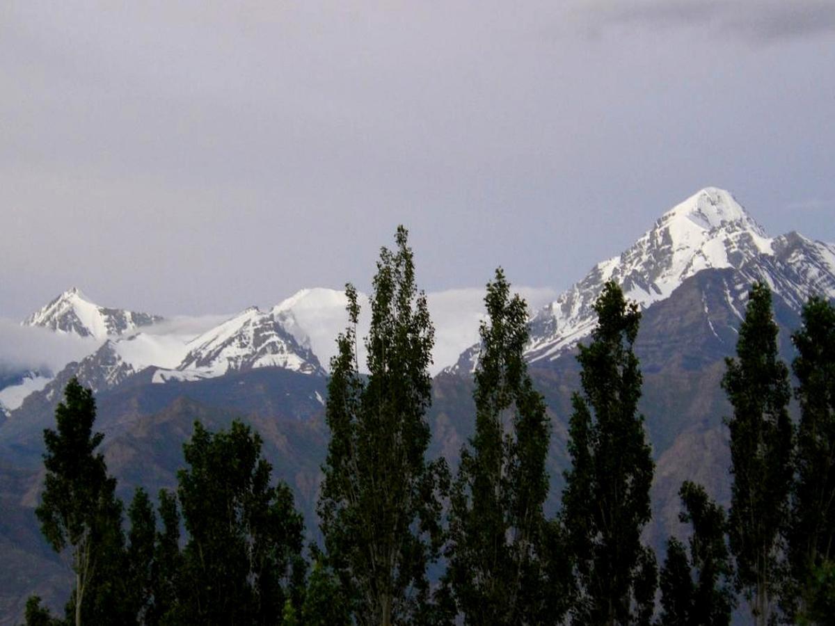 Kidar Hotel Leh Buitenkant foto